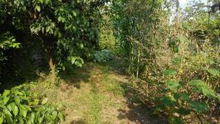 Гостевой дом Barbita Батуми-3